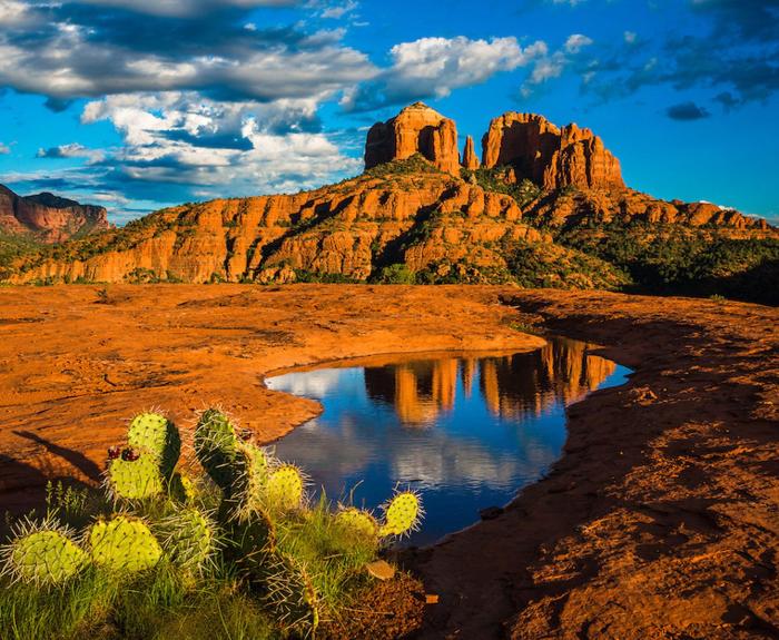 Landscape